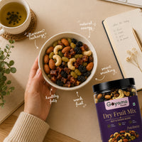 Dry Fruit Mix Panchmeva (400gm)