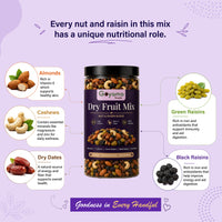 Dry Fruit Mix Panchmeva (400gm)