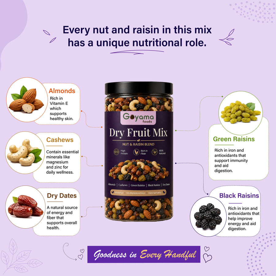 Dry Fruit Mix Panchmeva (400gm)